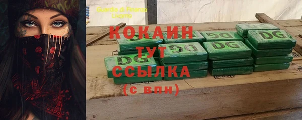 индика Бронницы