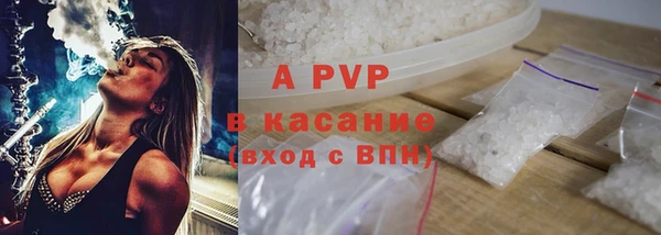 индика Бронницы
