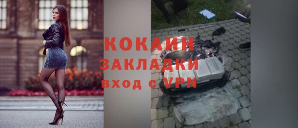 индика Бронницы