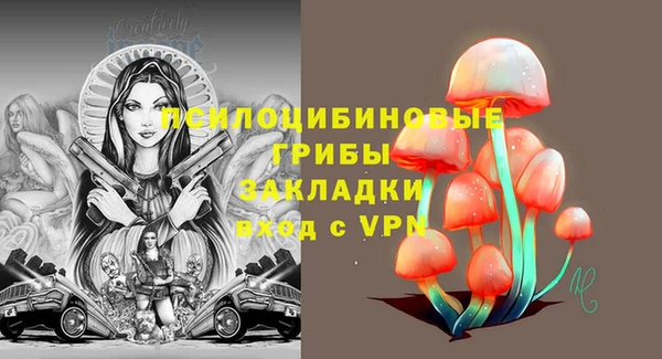 индика Бронницы