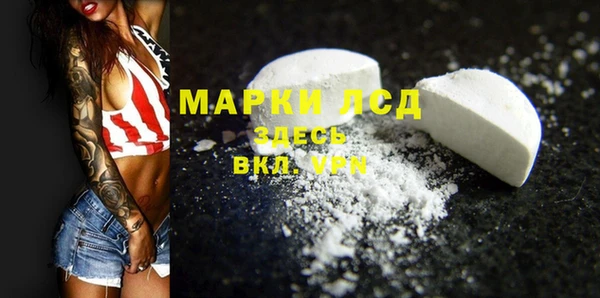 индика Бронницы