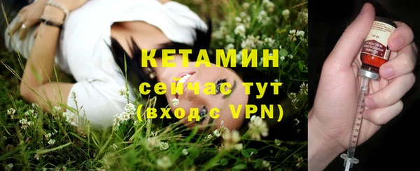 индика Бронницы