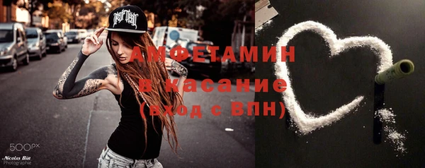 индика Бронницы